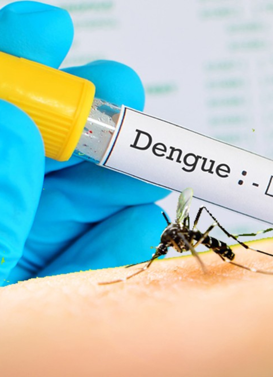 Em parceria com a Secretaria Estadual de Saúde, Vigilância Ambiental de Pará de Minas vai realizar reforço na aplicação de inseticida contra a Dengue