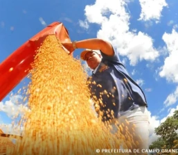 Safra brasileira deve cair 3,7% em 2026 após recorde em 2025