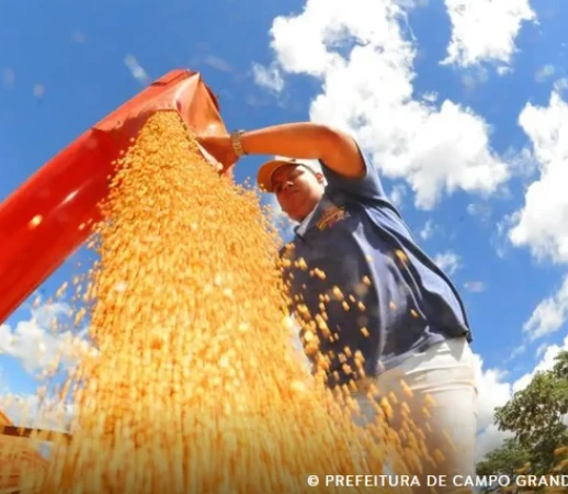 Safra brasileira deve cair 3,7% em 2026 após recorde em 2025