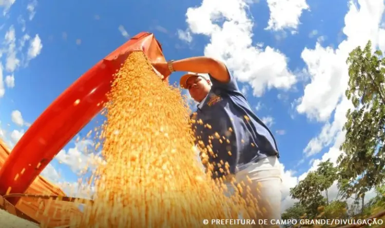 Safra brasileira deve cair 3,7% em 2026 após recorde em 2025