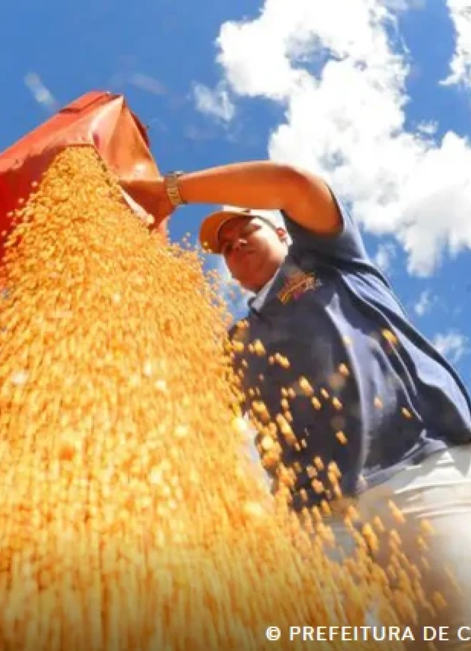 Safra brasileira deve cair 3,7% em 2026 após recorde em 2025