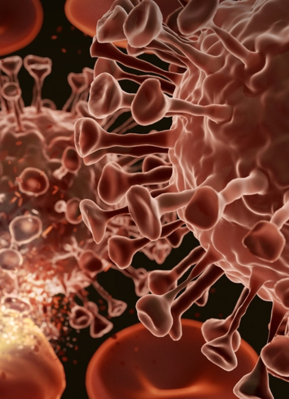 Minas Gerais bateu nesta quarta-feira o recorde de mortes pela Covid-19 nas últimas 24 horas