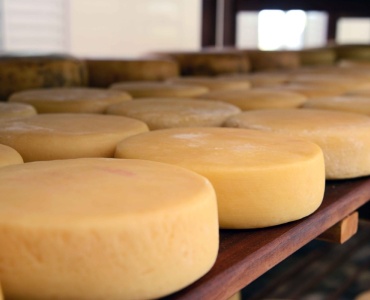 Queijoteca busca conservar características e sabores dos queijos artesanais de Minas Gerais