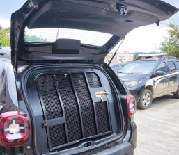 Pará de Minas: Polícia Militar prende foragido da Justiça na zona rural de Pequi