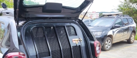 Pará de Minas: Polícia Militar prende foragido da Justiça na zona rural de Pequi