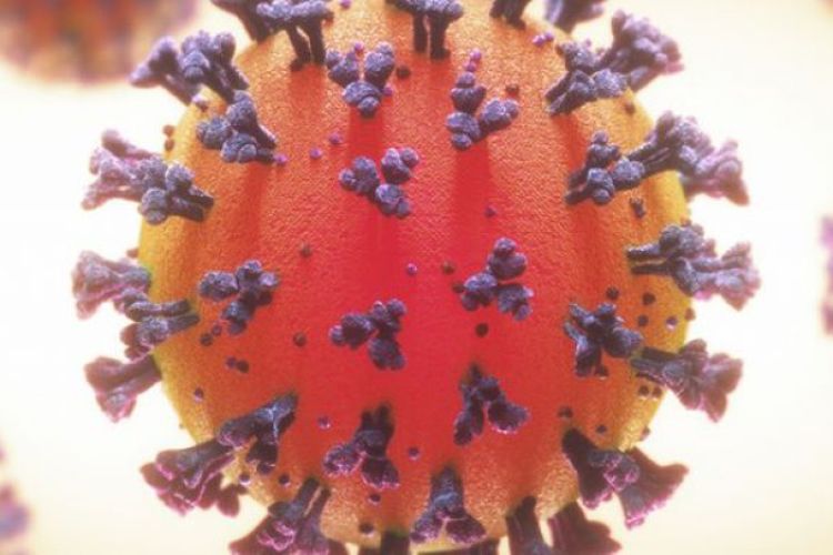 Minas Gerais chega próximo da marca de 1,8 milhão de pessoas recuperadas da Covid-19