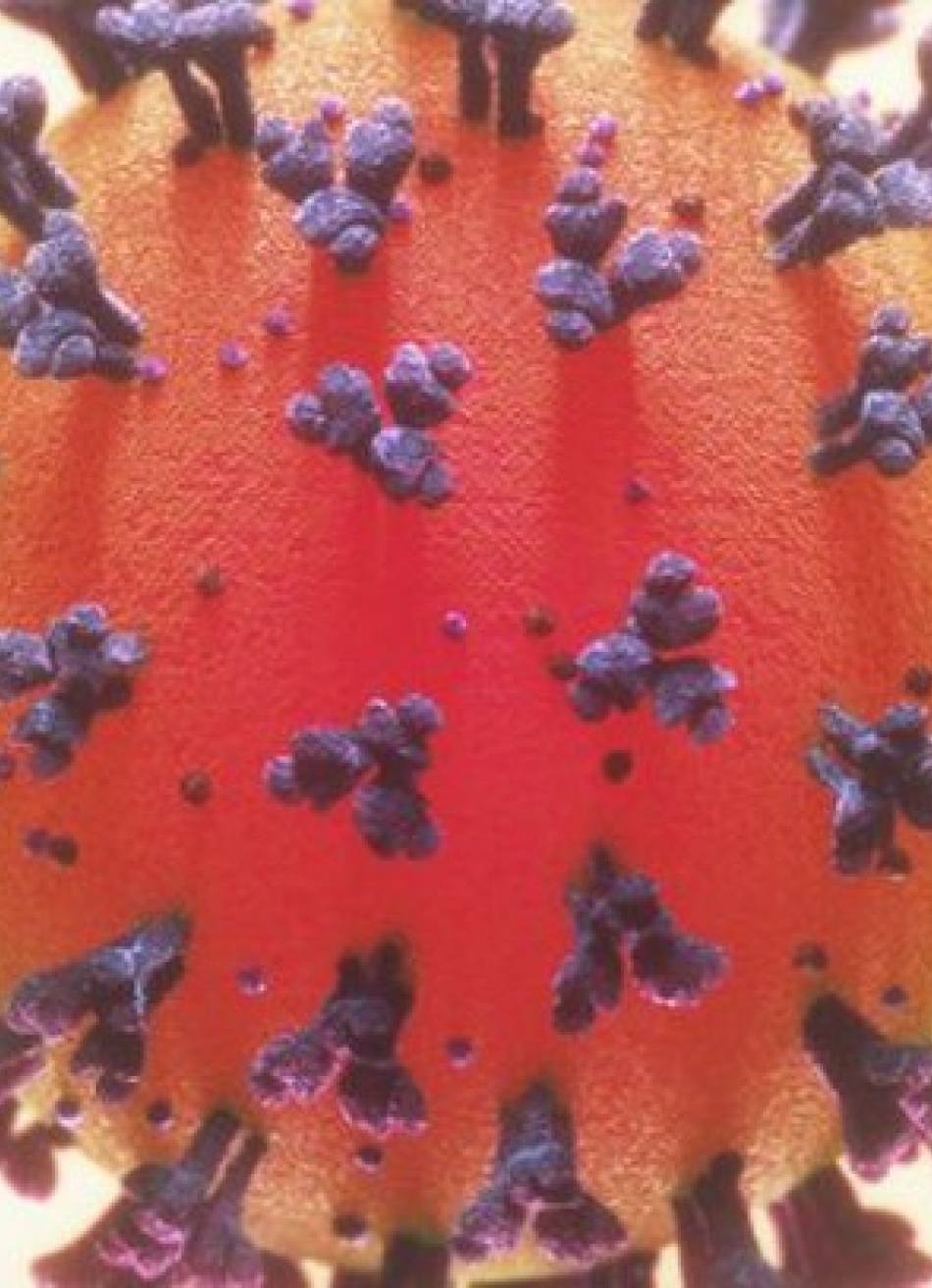 Minas Gerais chega próximo da marca de 1,8 milhão de pessoas recuperadas da Covid-19