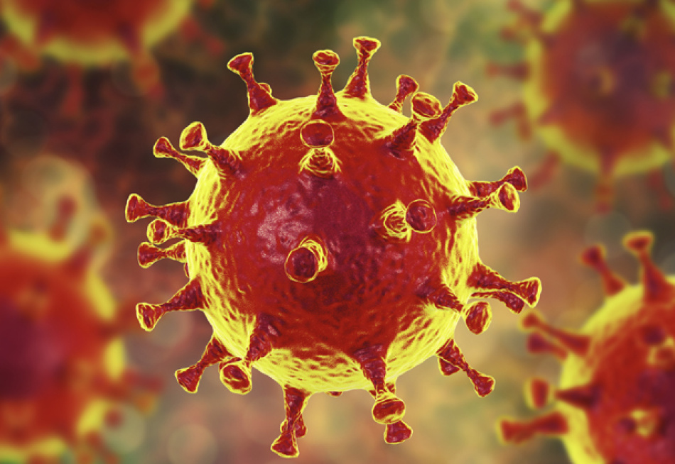 Minas Gerais registrou nesta segunda-feira 6.498 novos casos confirmados e 79 novas mortes pela Covid-19