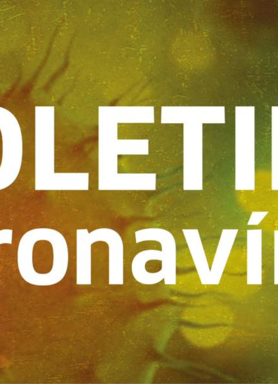 Minas Gerais registrou 4.989 novos casos confirmados e 193 mortes pela Covid-19 nas últimas 24 horas