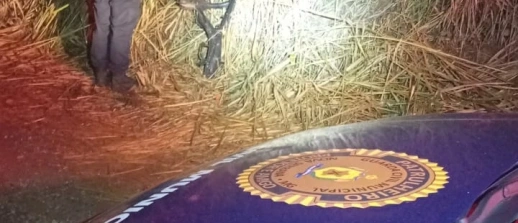 Chassi de moto furtada é encontrada em Nova Serrana