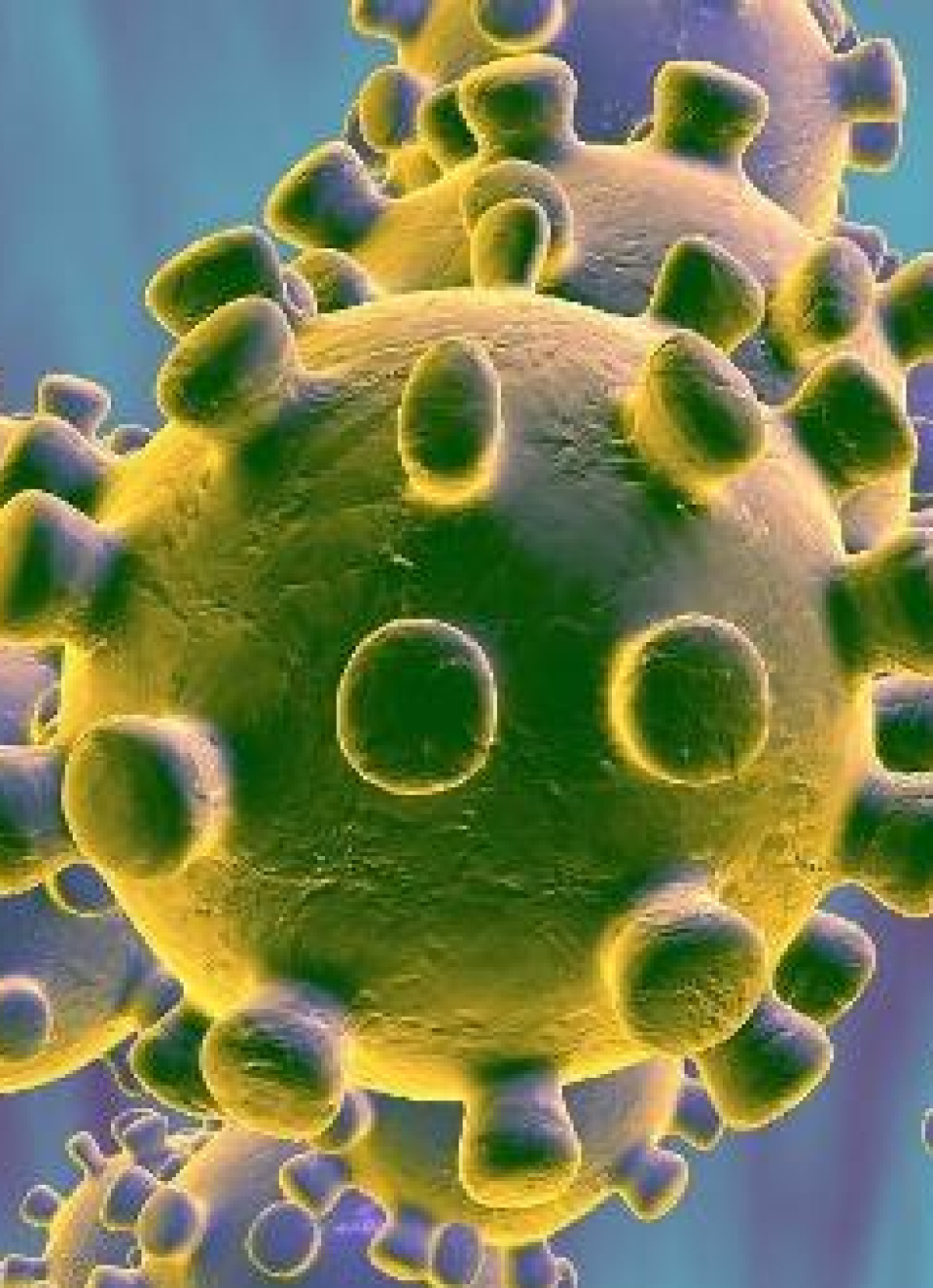 Minas Gerais se aproxima de 1,5 milhão casos confirmados da Covid-19