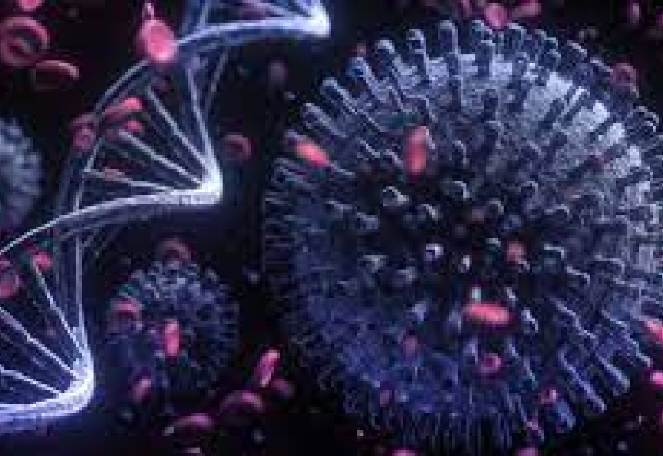 Pará de Minas registrou 52 novos casos confirmados da Covid-19 nas últimas 24 horas