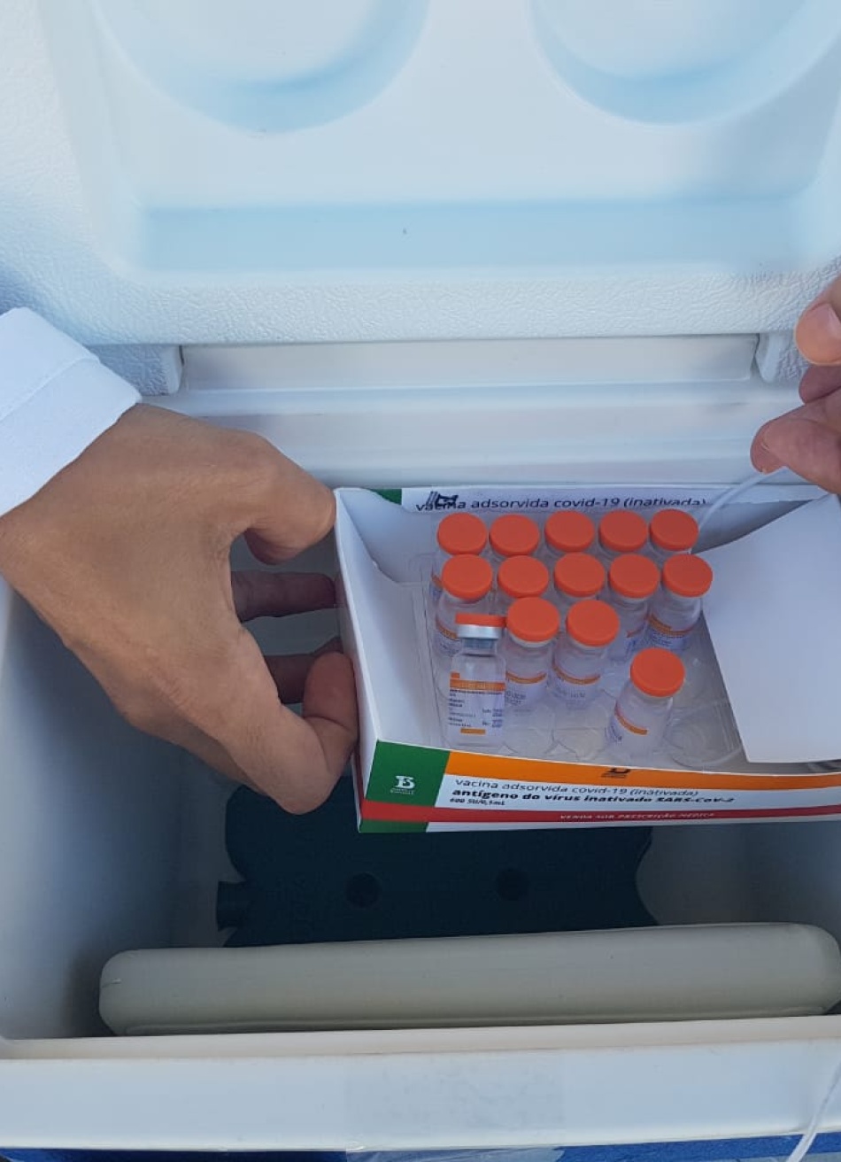 Cronograma do governo prevê entregas de vacinas para 2021