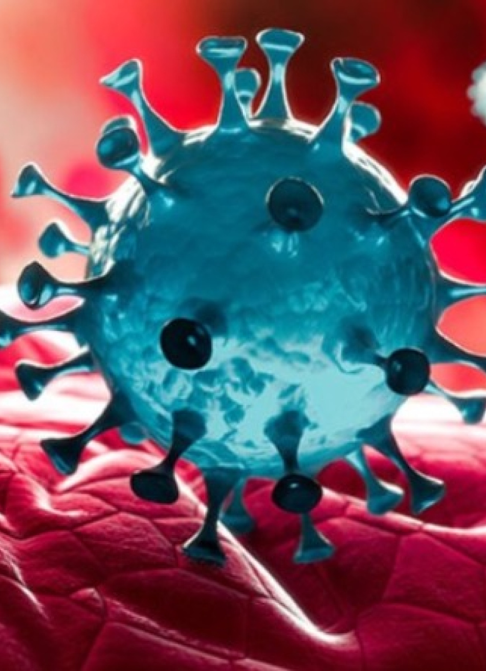 Minas Gerais registrou 1.492.530 casos confirmados da Covid-19, que causou 38.222 mortes