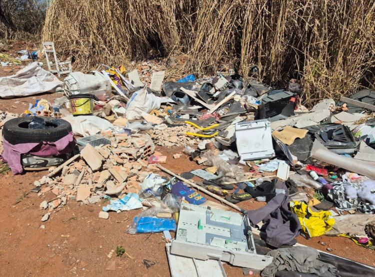 Agentes de Endemias realizam limpeza de área usada para descarte irregular no bairro Senador Valadares