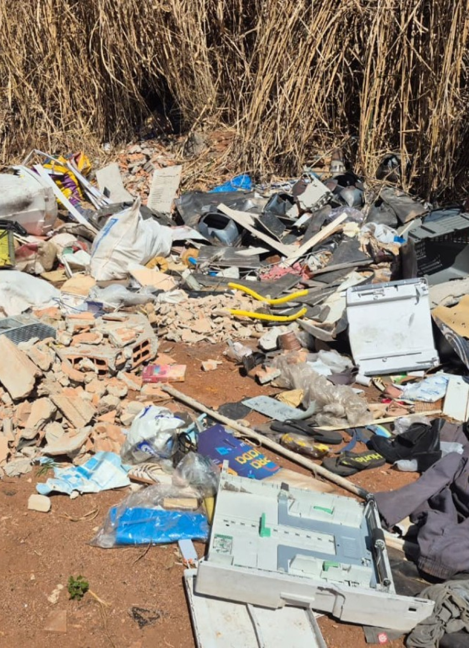 Agentes de Endemias realizam limpeza de área usada para descarte irregular no bairro Senador Valadares