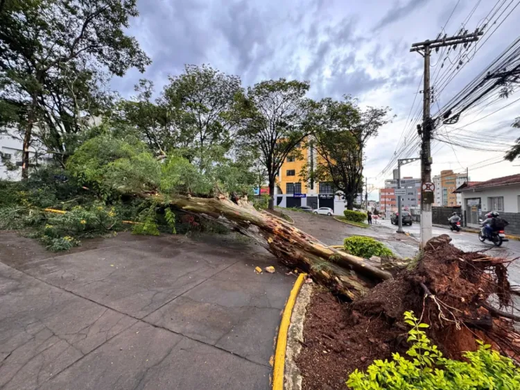 Balanço sobre o temporal que atingiu Pará de Minas
