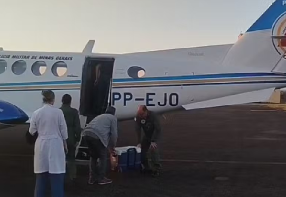 Órgãos de jovem vítima de disparo em festa junina são doados após confirmação de morte em hospital de Minas Gerais
