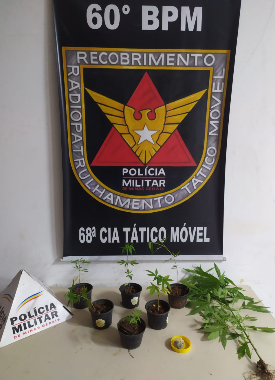 Homem é preso com pés de maconha em Nova Serrana