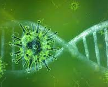 Boletim confirmou mais três mortes pela Covid-19 em Pará de Minas nas últimas 24 horas