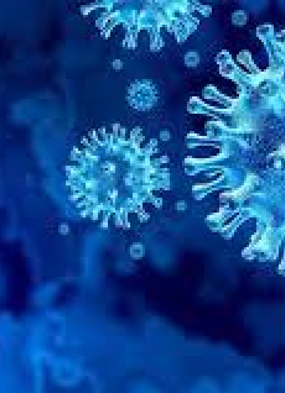 Pará de Minas volta a registrar uma nova morte pela Covid-19