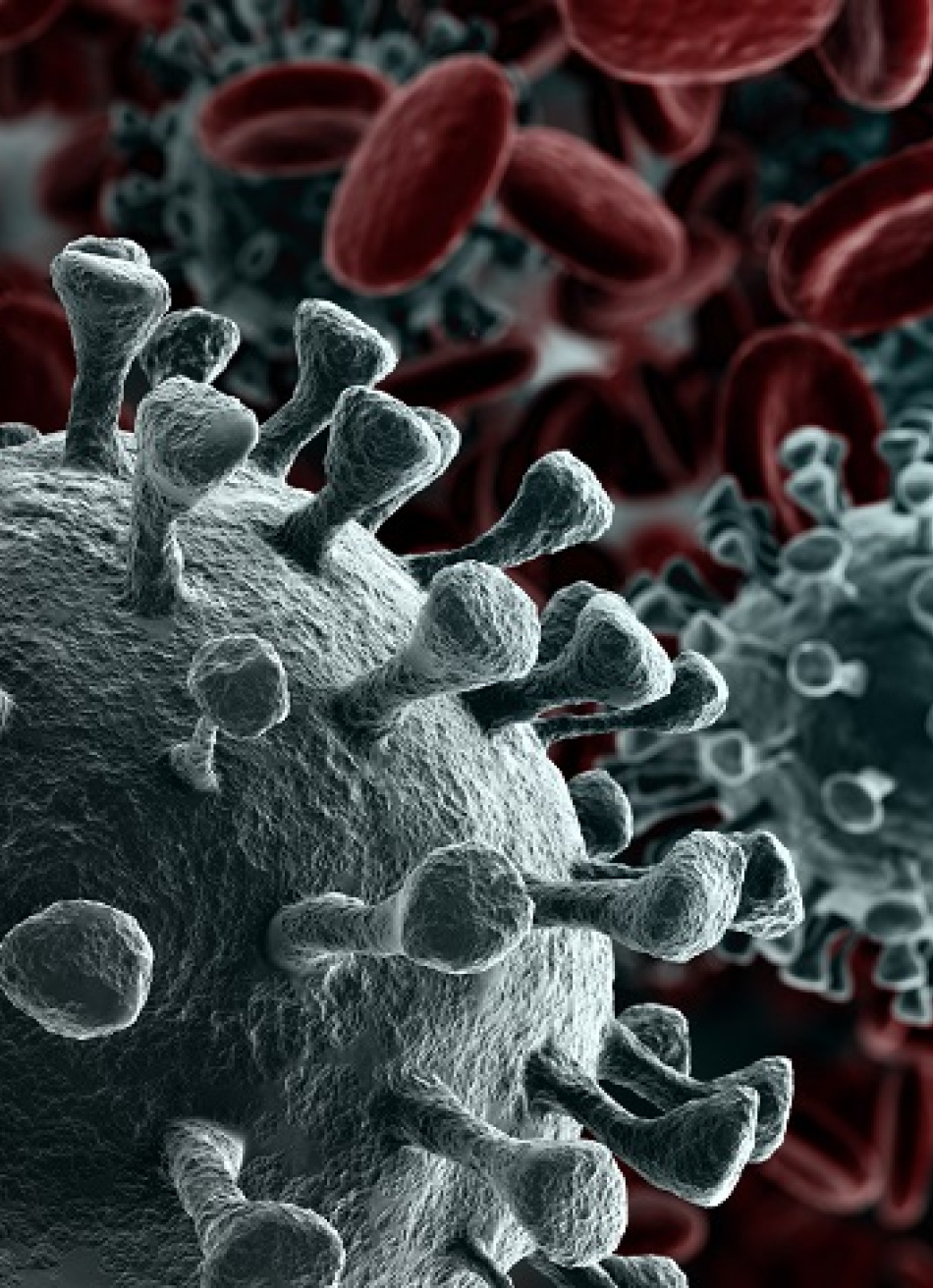 Até o início da tarde deste sábado, Brasil registrou 175.990 mortes e 6.536.245 de casos confirmados da Covid-19