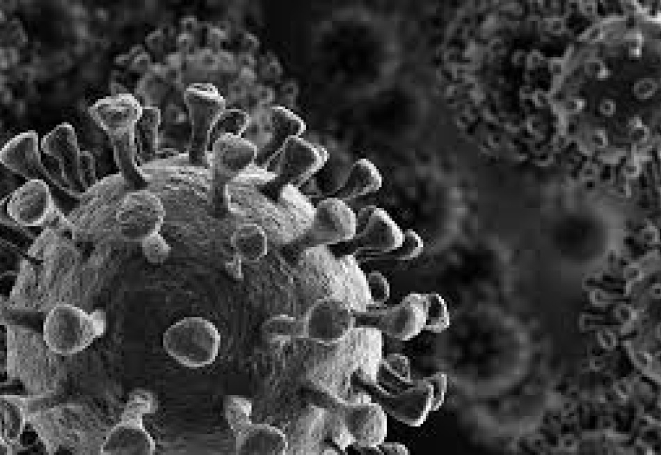 Boletim divulgado nesta terça-feira pela Secretaria Municipal de Saúde registrou 5.856 casos confirmados e 267 mortes pela Covid-19 em Pará de Minas