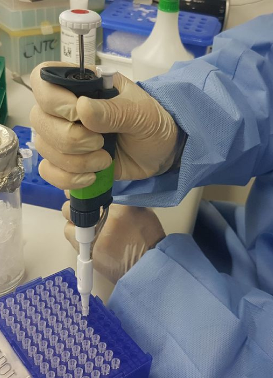 Vacina da Fiocruz Minas e UFMG avança em testes de laboratório