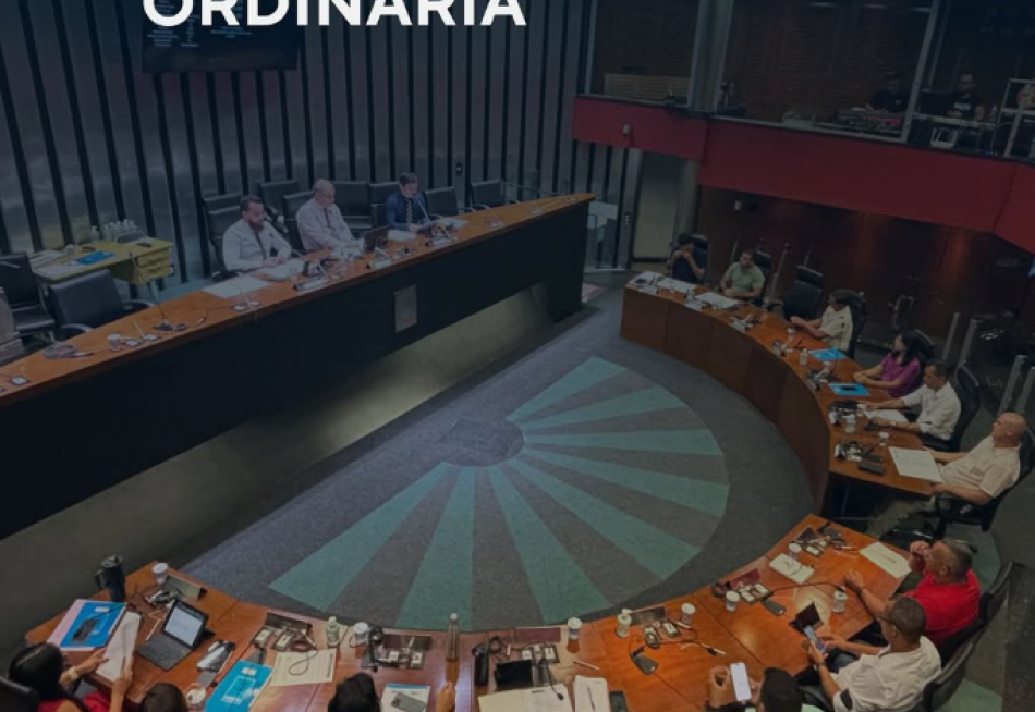Vereadores definem comissões para atuação em 2025 na primeira reunião da nova legislatura