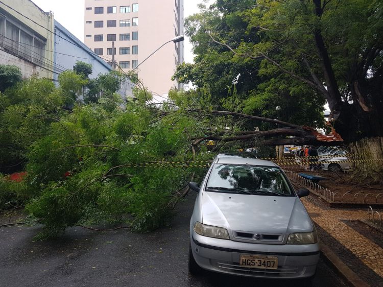 Carros são atingidos por galhos que caíram na manhã desta quarta-feira no centro de Pará de Minas