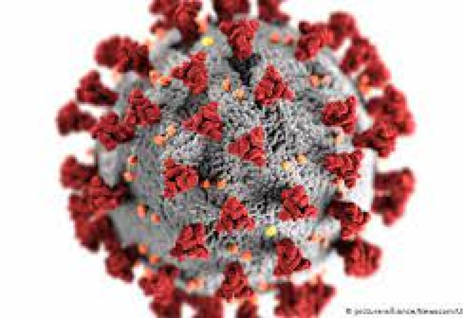 Minas Gerais já registrou 42 mil mortes pela Covid-19