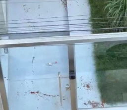 Solto: Homem que matou cachorro no centro de Pará de Minas foi colocado em liberdade provisória.