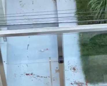 Solto: Homem que matou cachorro no centro de Pará de Minas foi colocado em liberdade provisória.