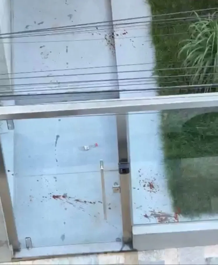 Solto: Homem que matou cachorro no centro de Pará de Minas foi colocado em liberdade provisória.