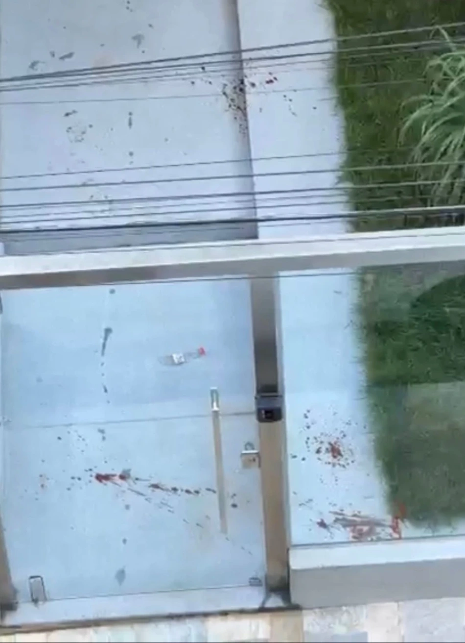 Solto: Homem que matou cachorro no centro de Pará de Minas foi colocado em liberdade provisória.