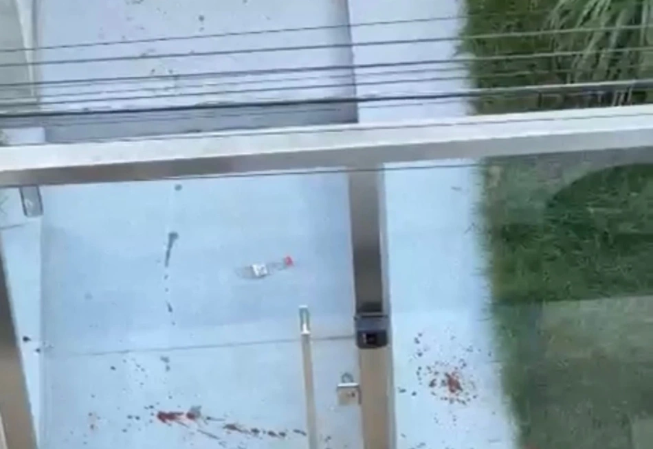 Solto: Homem que matou cachorro no centro de Pará de Minas foi colocado em liberdade provisória.