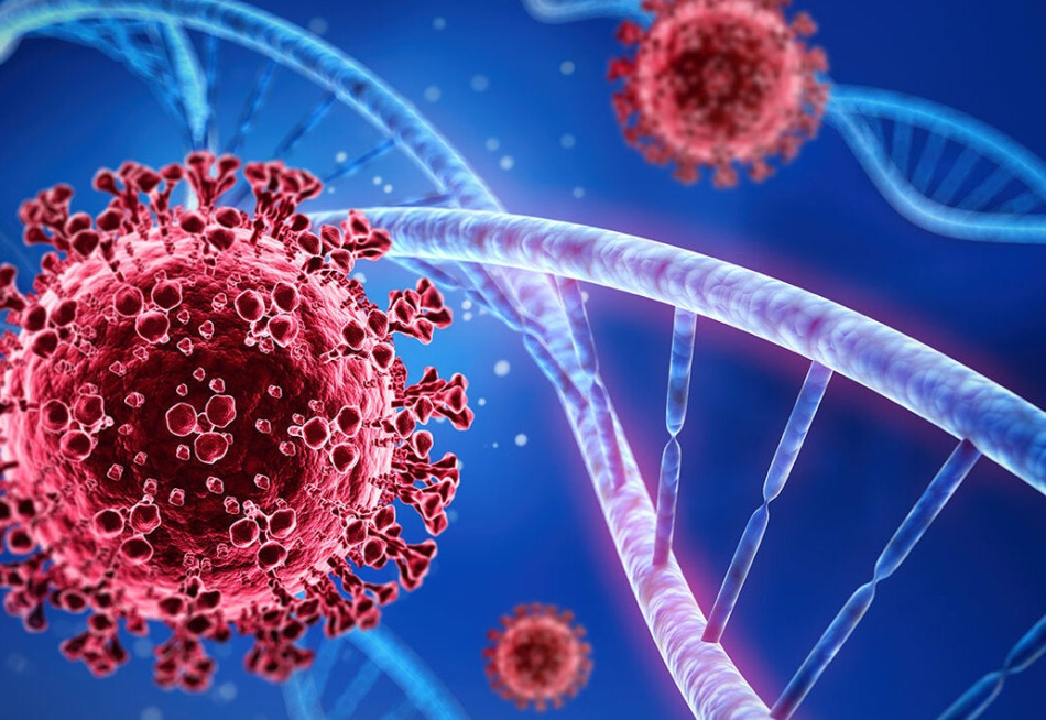 Minas Gerais já registrou 2.086.149 casos confirmados e 53.407 mortes pela Covid-19