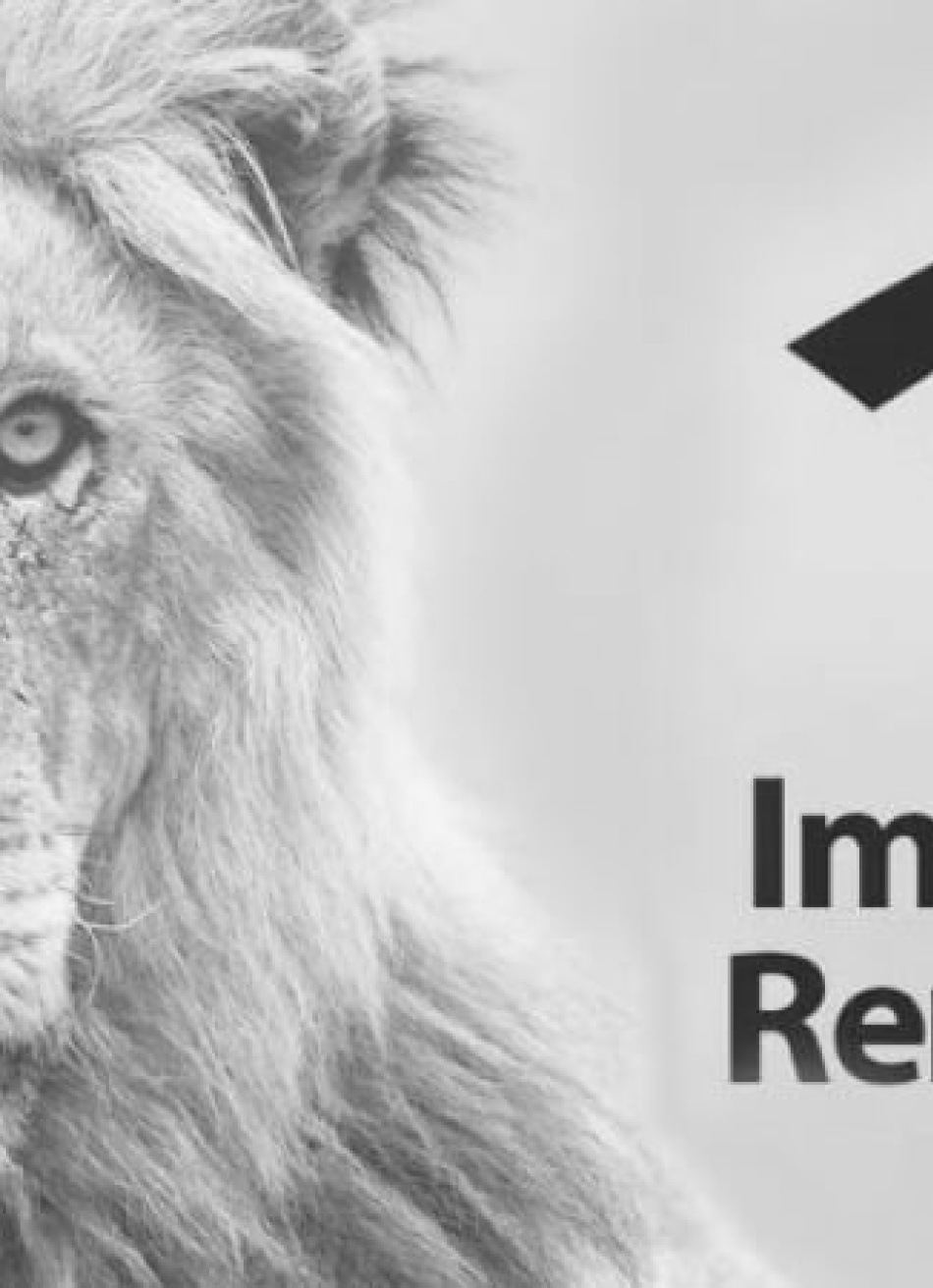 Receita Federal libera nesta quinta-feira programa da declaração do Imposto de Renda 2021