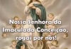 Capa Notícia