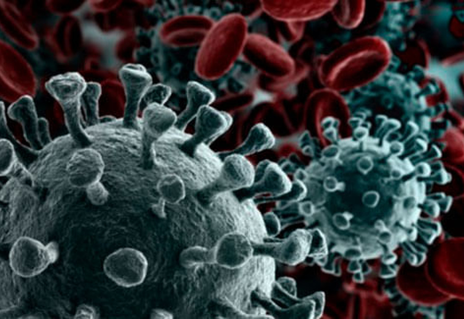 Minas Gerais registrou quase 13 mil novos casos confirmados da Covid-19 em um prazo de apenas 24 horas