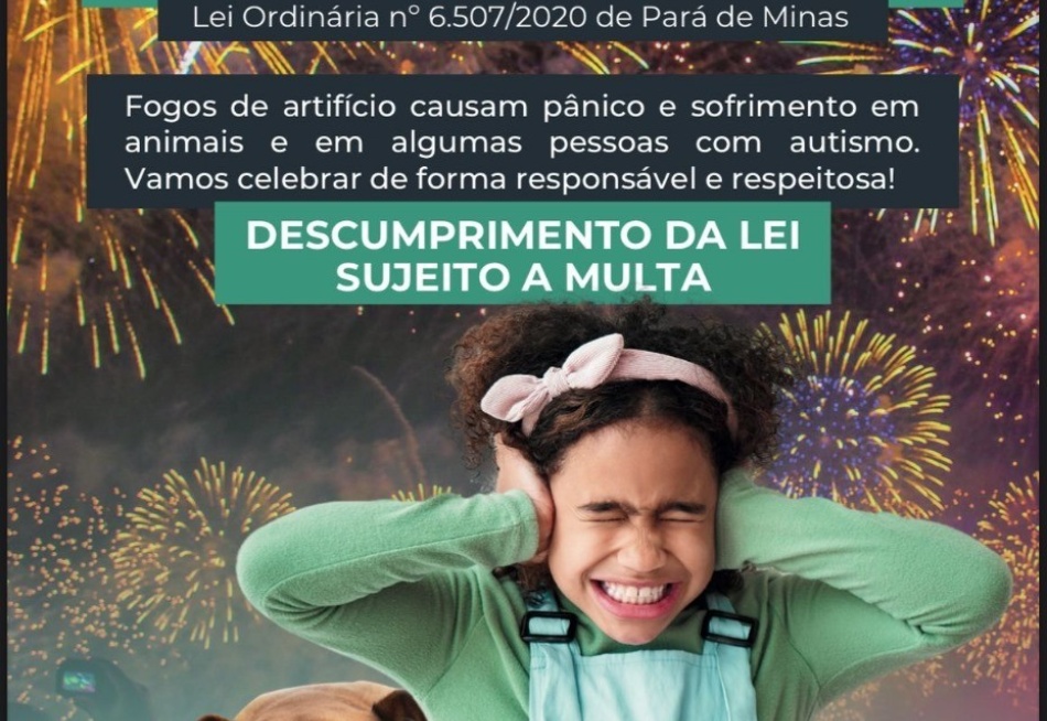 Proibição de Fogos de Artifício em Pará de Minas Busca Garantir Bem-Estar de Animais e Pessoas com Autismo