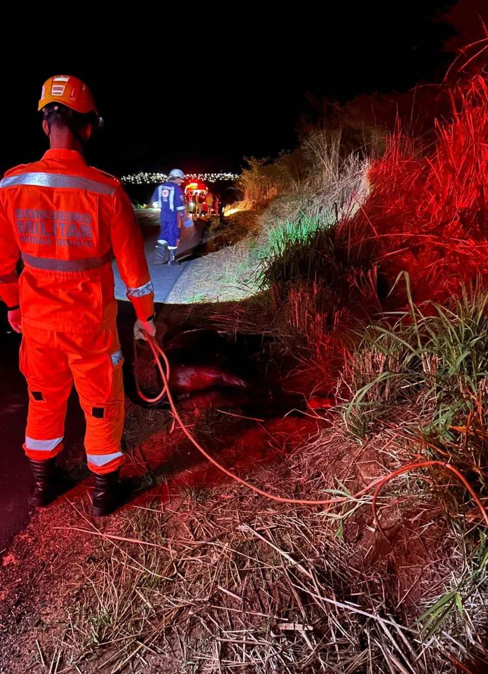 Salvamento de animal