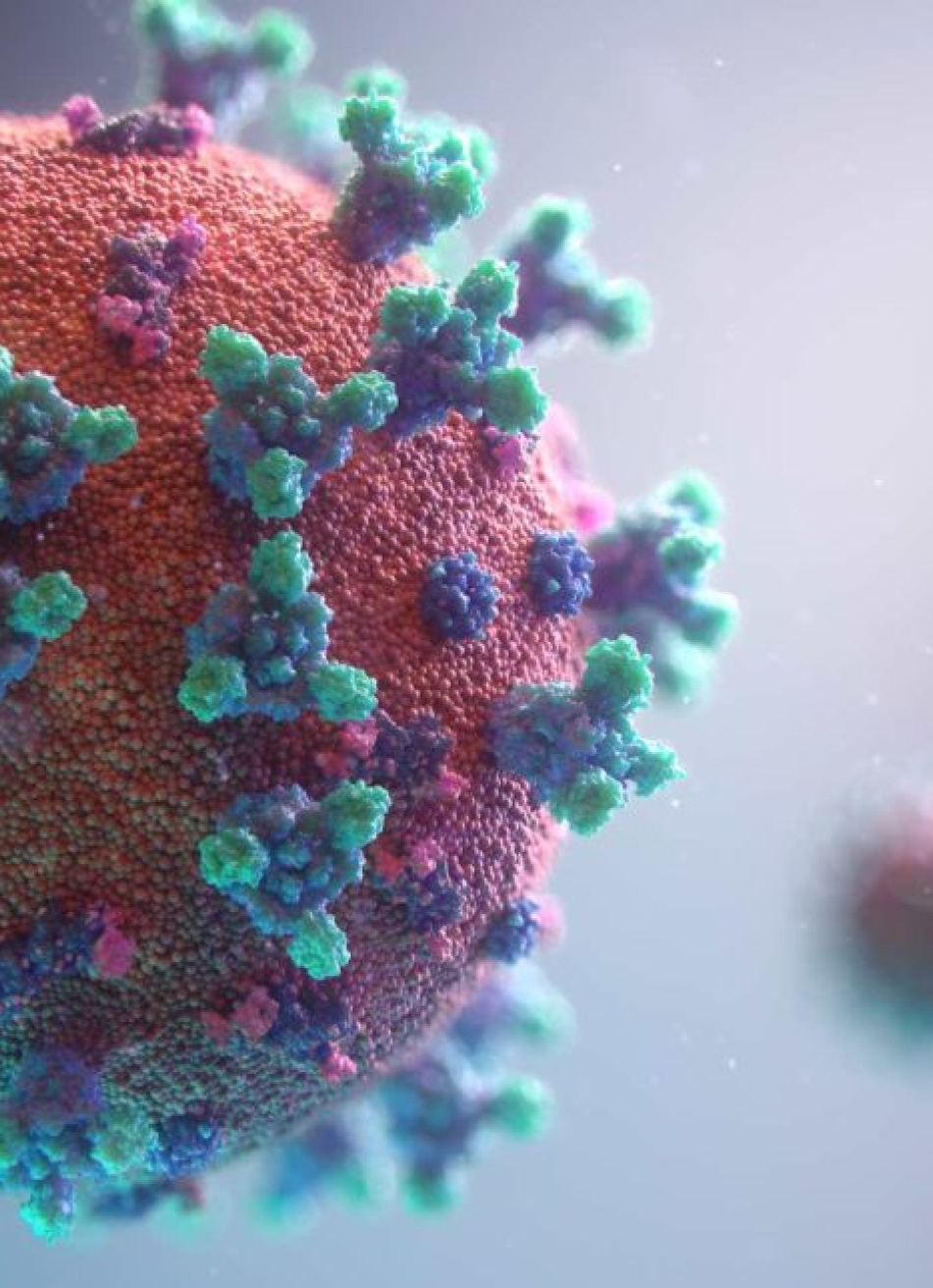 Minas Gerais já registrou mais de 2,7 milhões de casos confirmados da Covid-19