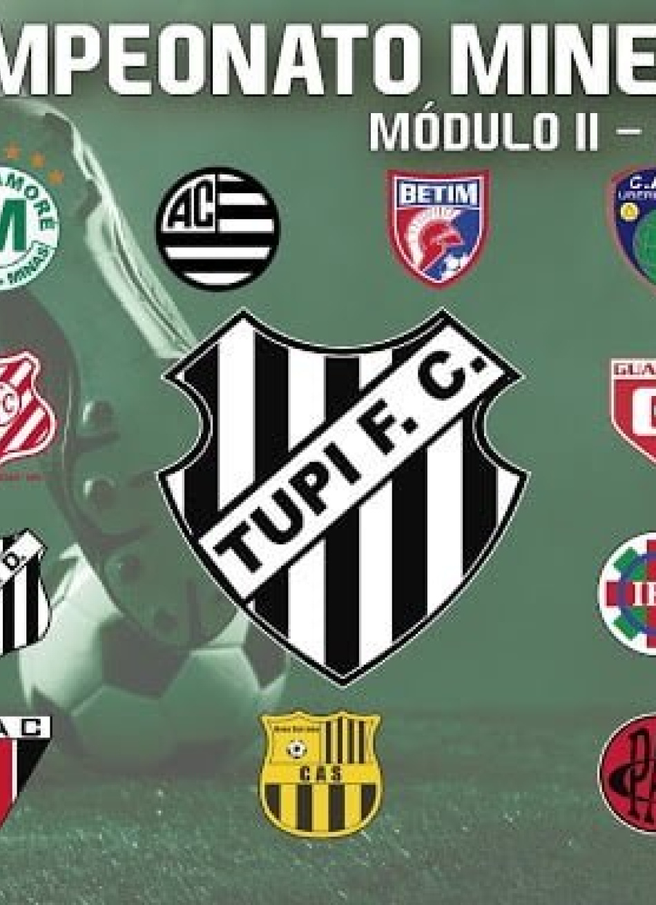 Guarani é derrotado pelo CAP Uberlândia e desperdiçou a oportunidade de voltar ao G4 do Módulo II