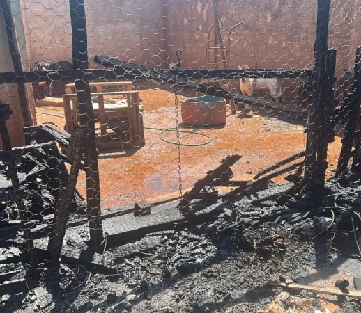 Incêndio atinge imóvel utilizado como canil no bairro Senador Valadares, em Pará de Minas