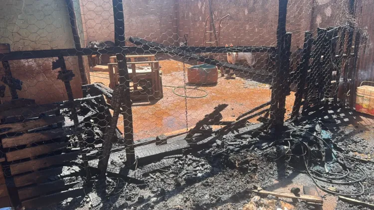 Incêndio atinge imóvel utilizado como canil no bairro Senador Valadares, em Pará de Minas