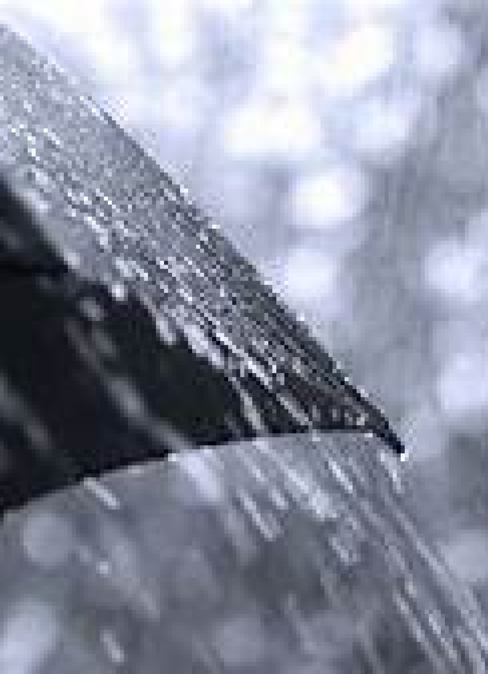 Inmet prevê chuvas fortes na maioria dos municípios mineiros até esta segunda-feira