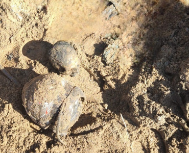 Ossada Humana é Descoberta Durante Serviço de Limpeza de Córrego em Nova Serrana