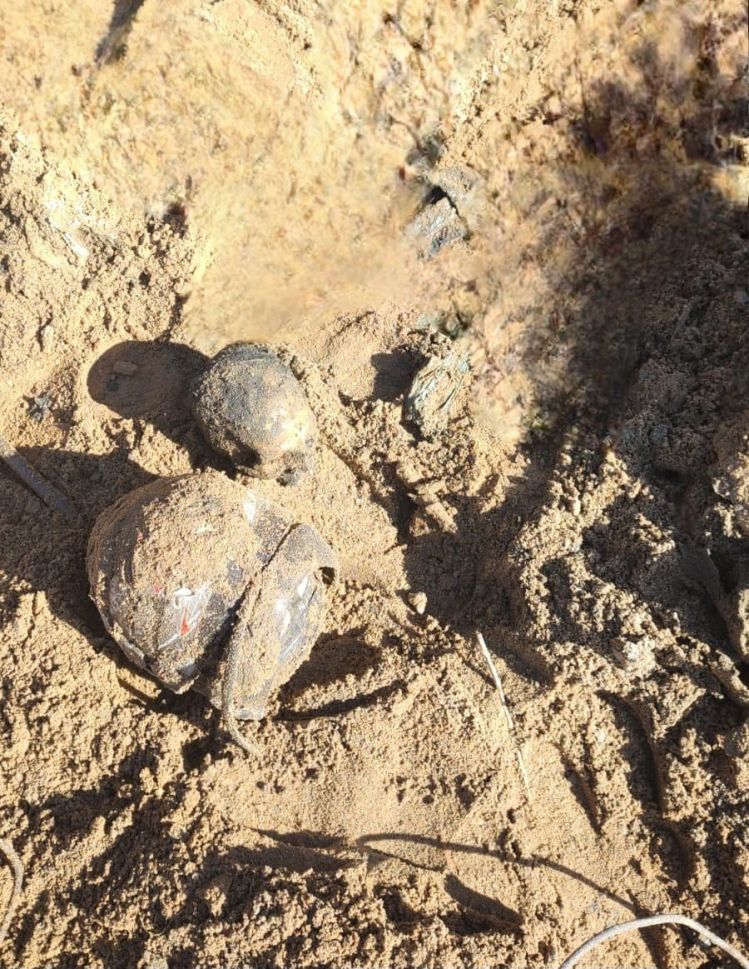 Ossada Humana é Descoberta Durante Serviço de Limpeza de Córrego em Nova Serrana