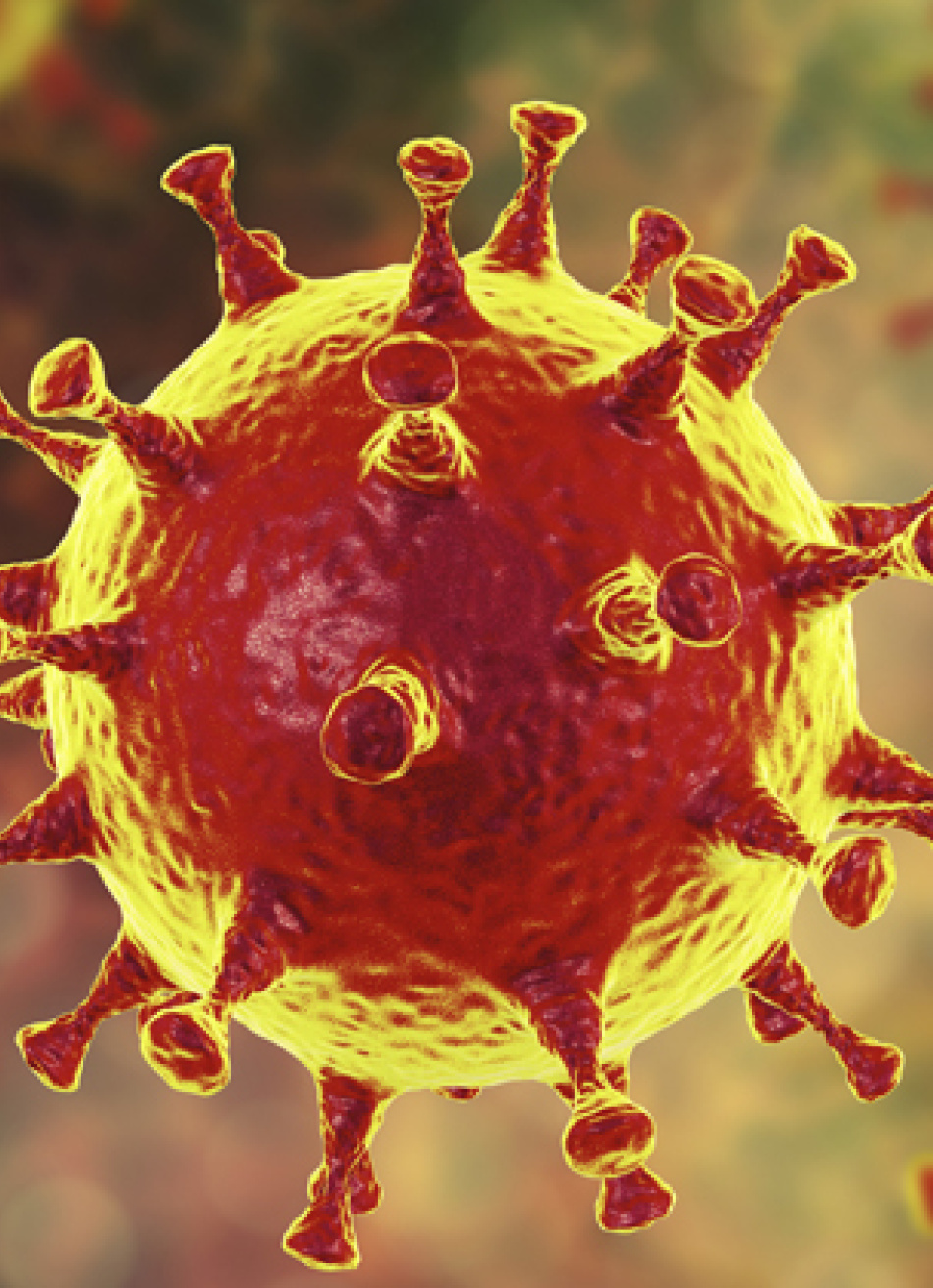 Minas Gerais registrou mais de 40 mil novos casos confirmados da Covid-19 em apenas 24 horas